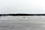 4L4C7184