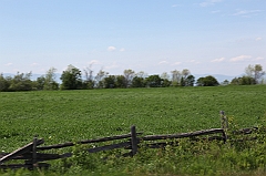 C5D_041776