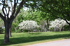 C5D_041777