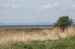 C5D_041822