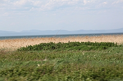 C5D_041823