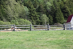 C5D_041831