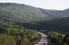 C5D_041890