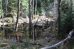 IMG_7671