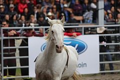4L4C9616