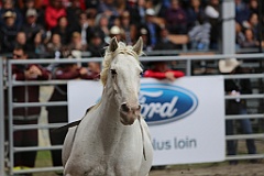 4L4C9617