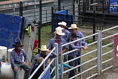 IMG_0355