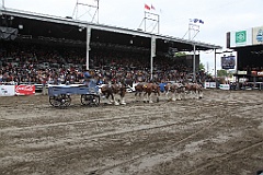 IMG_0381