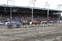 IMG_0382