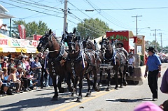 C5D_101589