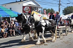 C5D_101659