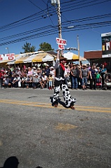C5D_101698