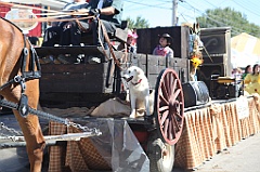 C5D_101763