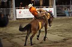 C5D_047177