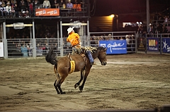 C5D_047179
