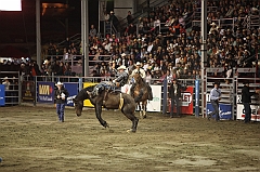 C5D_047203