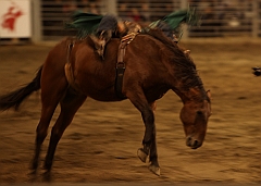 C5D_047277