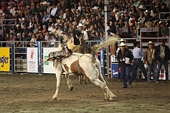 C5D_047290