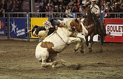 C5D_047294
