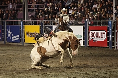 C5D_047295