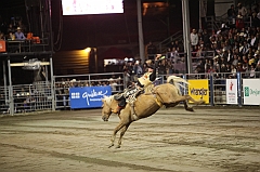 C5D_047474