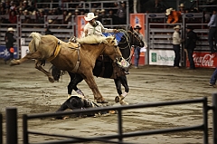 C5D_047481