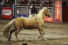 C5D_047485