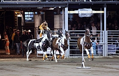 C5D_047757