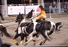 C5D_047768