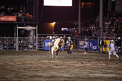 C5D_048250