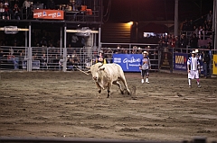 C5D_048256