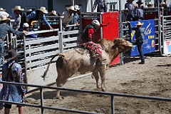 C5D_132563