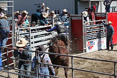 C5D_132579