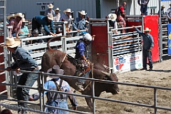 C5D_132580