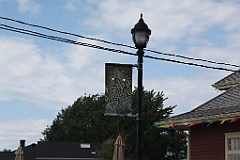 C5D_132697