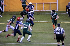 4L4C4964