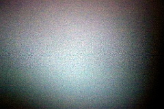 4L4C5152