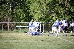 C5D_042009