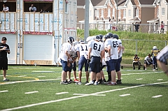 C5D_040301