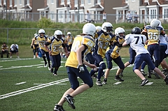 C5D_040355