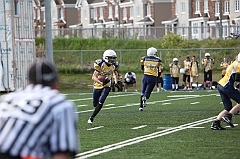 C5D_040356