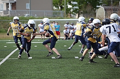 C5D_040366
