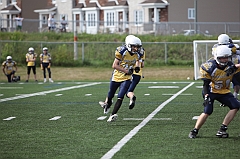 C5D_040367