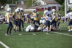 C5D_040376