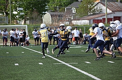 C5D_040388