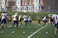C5D_040394