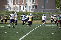C5D_040395