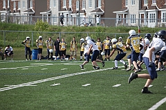 C5D_040396