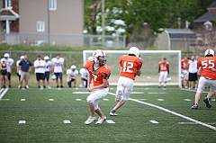 C5D_040785