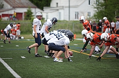 C5D_040880